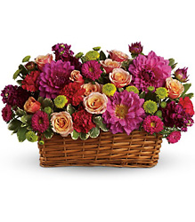 Burst of Beauty Basket from Arjuna Florist in Brockport, NY